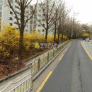 강서구-82 이미지