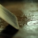 신미경양평닭갈비 이미지