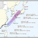 이루핏 이미지