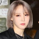 조에룸 이미지