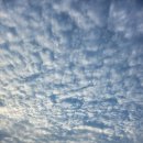 신월민박 이미지