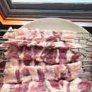 오리사냥 이미지