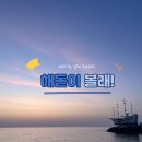 포항국제영화음악제 | 새해 첫 날에 뭐하지? 해돋이 볼래!