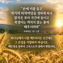 [오늘의 묵상칼럼] 2026.9.30(수) 오늘의 말씀카드, 365묵상글, 예산수정교회 이미지