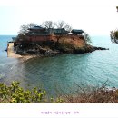 달빛되어 이미지