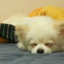 럭키(LUCKY)
