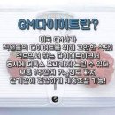 GM 휘트니스 이미지