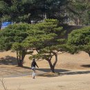 골프 정모 모임 동호회 콜밴 대형택시 기사포함 렌트카 오프라인 행사 개최에는 모스트 노블레스