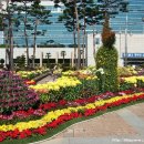 북구청 앞 광장 이미지