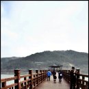 달이 비추는 곳 이미지