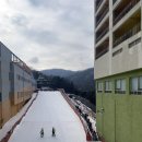 용인 양지파인리조트 서울 근교 눈썰매장 이용 후기_효찌