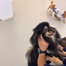 멍품유치원 이미지