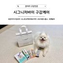 스피드덴탈 | [강아지 구강건강] 치약/오라뮨드롭스/덴탈껌, 시그니처바이로 구강 관리하기