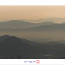 도시의숲 이미지