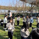 바다의별유치원 이미지