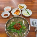 대건빌딩 | [부산] 부산역 돼지국밥 맛집 3곳 비교 내돈내산(괴정집, 대건명가,더도이종가)