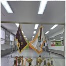 강철태권도 이미지