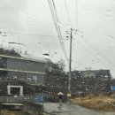 산림박물관 온실화장실 | 용인곤충테마파크곤충박물관 6세남아 대만족 후기