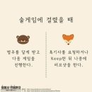 곰과여우