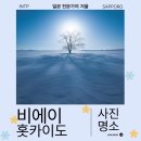 신성목장 | 겨울 삿포로 비에이 포함 사진 명소 성지 소개 여행기
