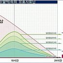 안전대장