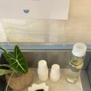 사임당로17길 101 이미지