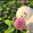 신설아구집 | 4월: 괜찮아 딩딩딩딩딩