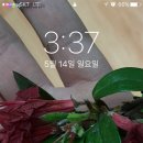 구광장칼국수 이미지
