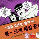 우리농산물할인마트 | 🎯롯데마트 통큰세일 시작! 오르는 물가 속 생활비 아끼는 찐 꿀팁🍗🧻🥦