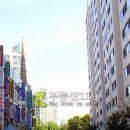 월평동로 이미지
