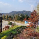 호산삼거리주유소 이미지