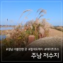 단감테마공원 | 창원 가을 나들이 주남저수지 갈대밭 산책과 단감테마공원 무료 체험 정보