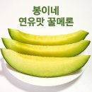봉이네농장 | 여기가 진짜 메론맛집, 당첨돼서 먹어본 솔직 후기