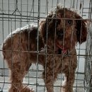 죽교동행정복지센터 이미지