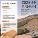 울주오디세이 | 간월재 가을 억새 여행｜등산코스·주차·날씨·울주오디세이 공연 총정리