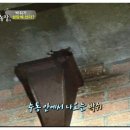 배티농장 이미지