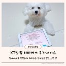 위드펫동물병원 미용실 | 반려동물 홈케어 모든 것 KT 펫케어 KT닷컴 티티케어 장점·요금·혜택 안내