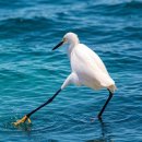 더 오붓(The O Boot) | Kafka 간 맞추기