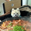 내서읍438 이미지