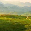 개나리목장 이미지