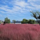 낙동강변 이미지