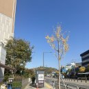 포레스타1공인중개사사무소 이미지