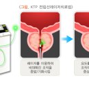 선기로2-8 이미지