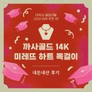 20대 여자 대학교 졸업 선물 14k 목걸이… 내돈내산 후기