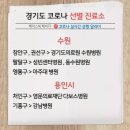 코로나 선별 진료소 이미지