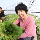 다목농장 이미지