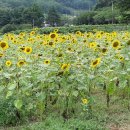 빙기실마을 이미지