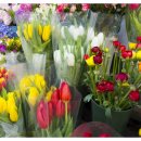 전북화원 이미지