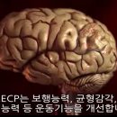 엠원코리아 이미지