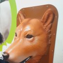 진도개천국 이미지